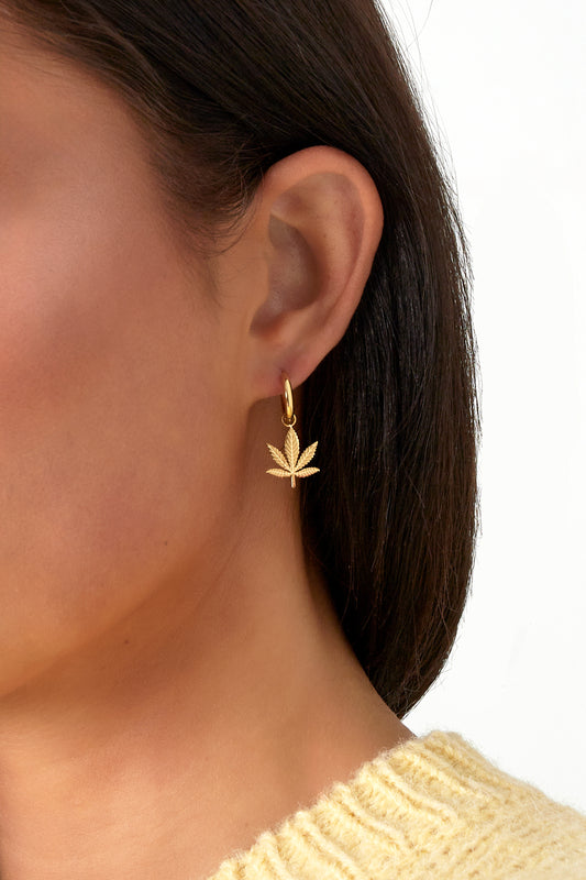 Cercei aurii - Canna Bliss